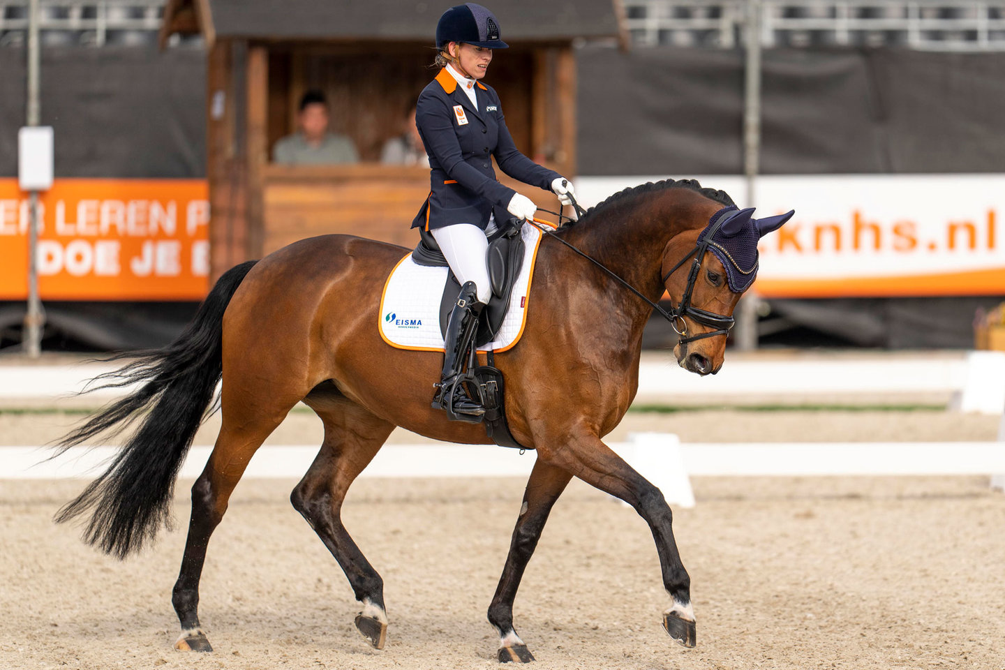 Paradressuurruiter Rixt van der Horst focust zich tijdens de dressuurproef op haar paard