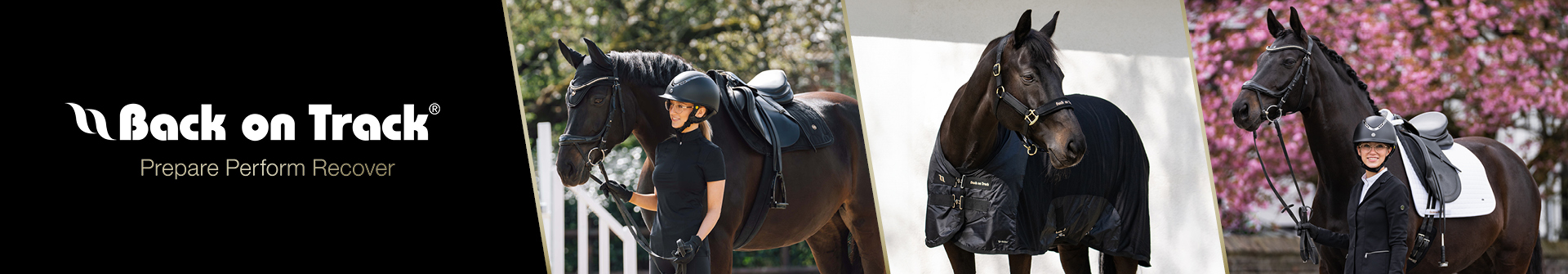 advertentie van back on track met daarop een amazone en een paard met kleding voor de ruiter en toebehoren voor het paard