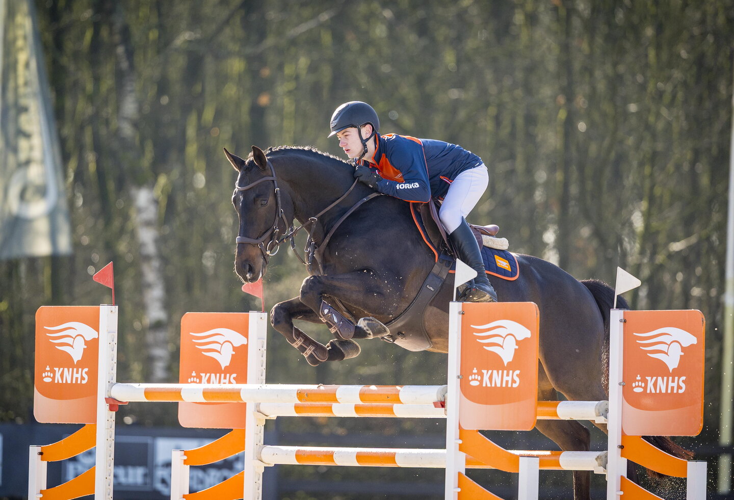siebe leemans in actie met zijn paard over knhs hindernis