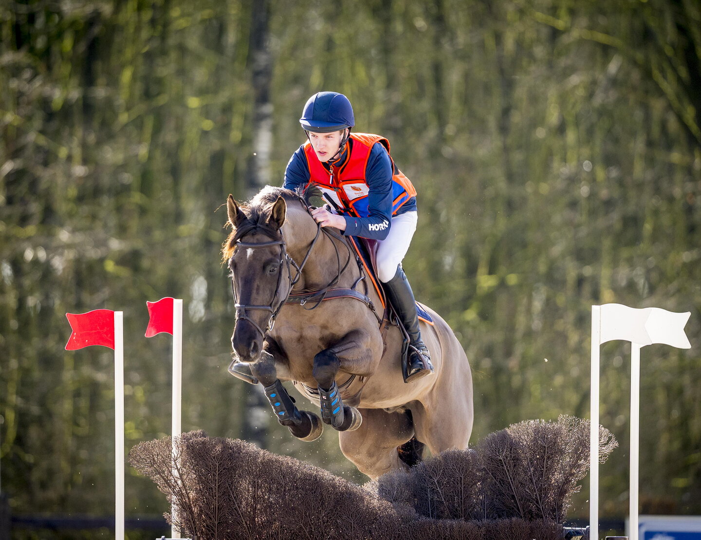 eventingruiter splinter bergsma springt over een crosshindernis met zijn paard
