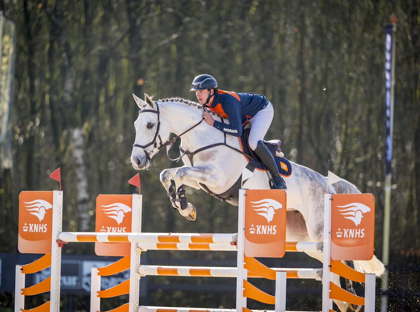 springruiter finn boerekamp springt over knhs hindernis