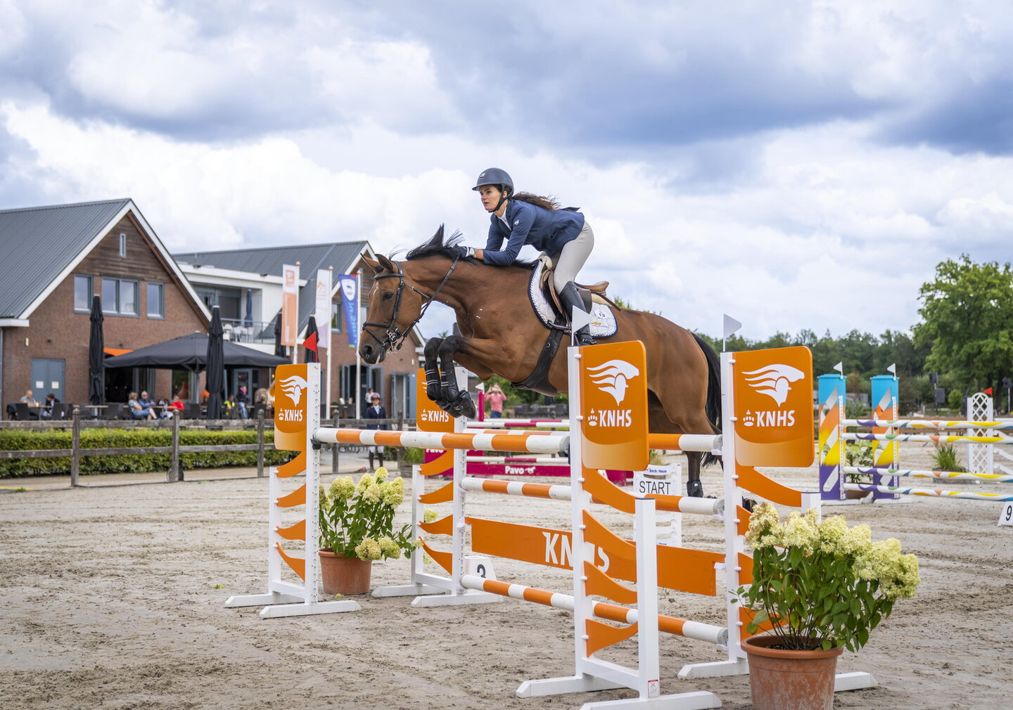 een amazone maakt met haar paard kennis met de cross