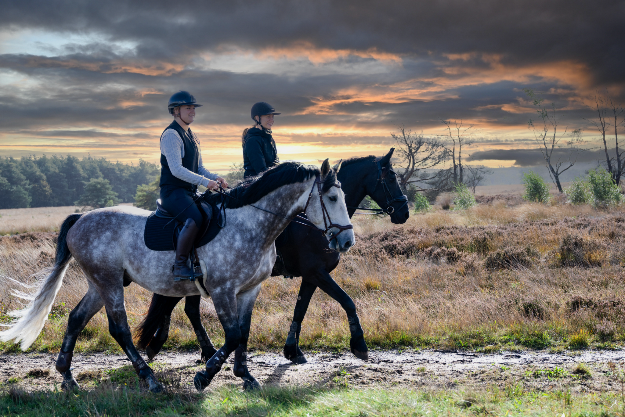 nathalie vink houdt een van haar therapiepaarden vast en kijkt in de camera