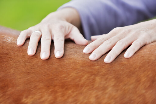 dinja van liere juicht terwijl ze op hermes zit, na het winnen van de nederlandse titel