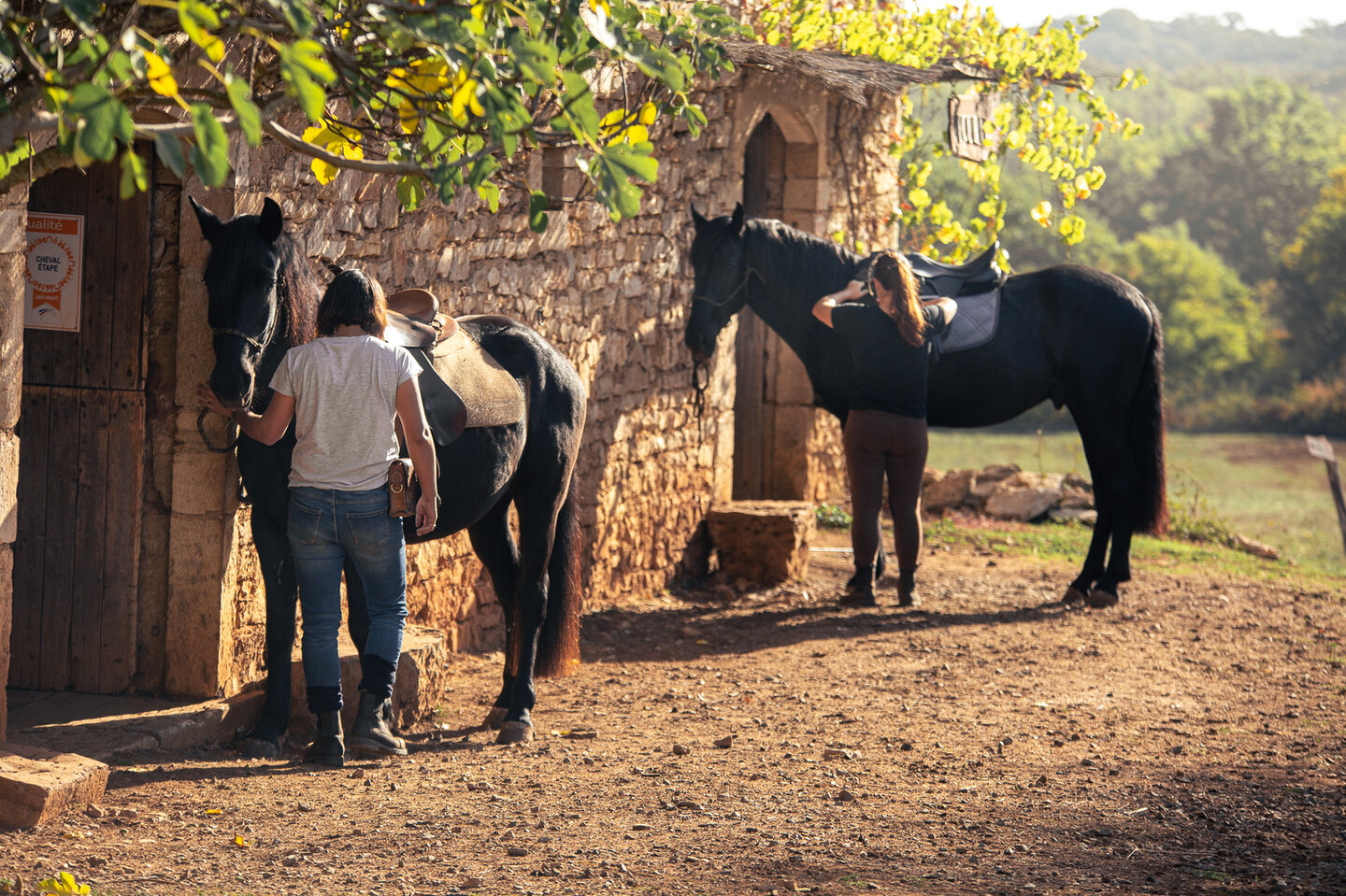 Samantha knuffelt met haar paard Voice in de wei