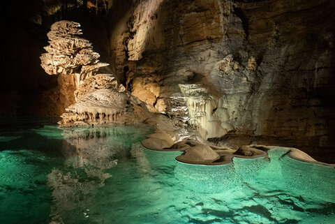 Samantha galoppeert op haar Friese paard over een bospad