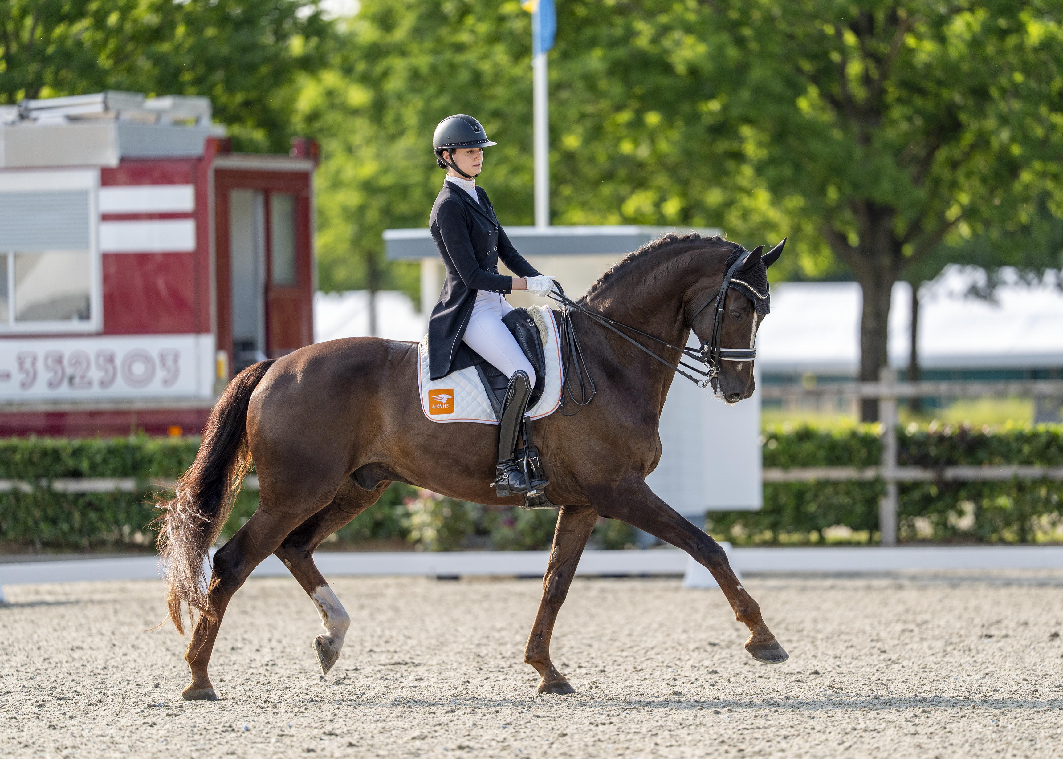 maikel van der vleuten springt met beauville z n.o.p. over een hindernis tijdens de olympische spelen