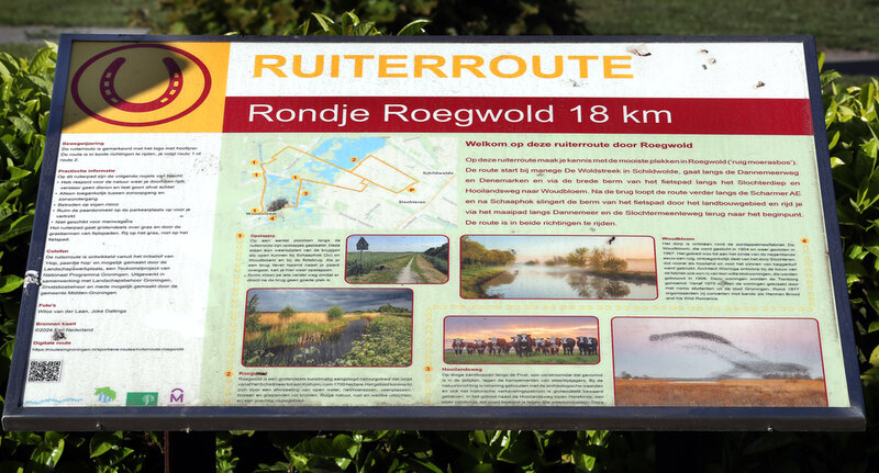 blik vanaf de auto van boswachter rinke, waarbij we uitkijken op een lang zandpad