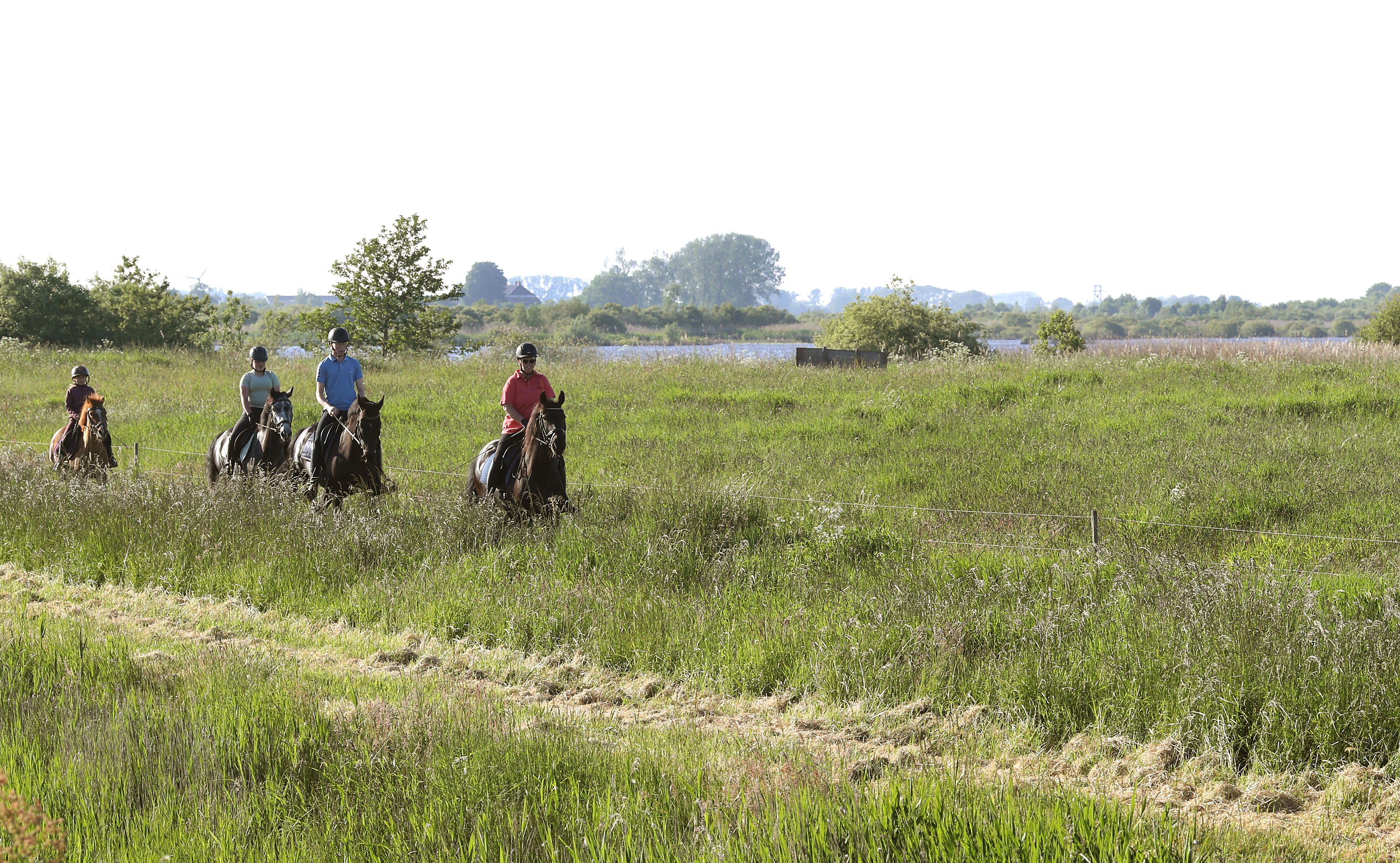 communicatie boswachter susanne blommaert aait bliksem op de hals