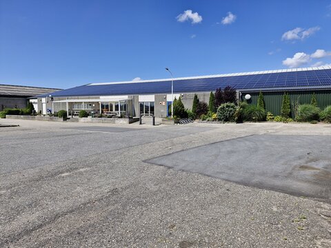 container met paarden wordt in vliegtuig geladen 