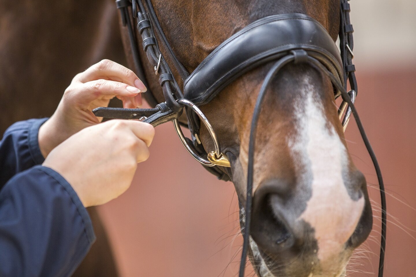 Een afbeelding van de verspreiding van virusdeeltjes
