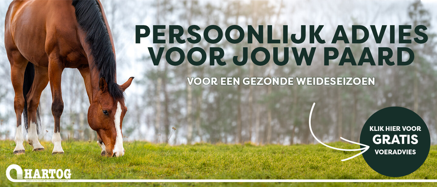 advertentie van odido als partner van teamnl en daarmee ook de paardensport
