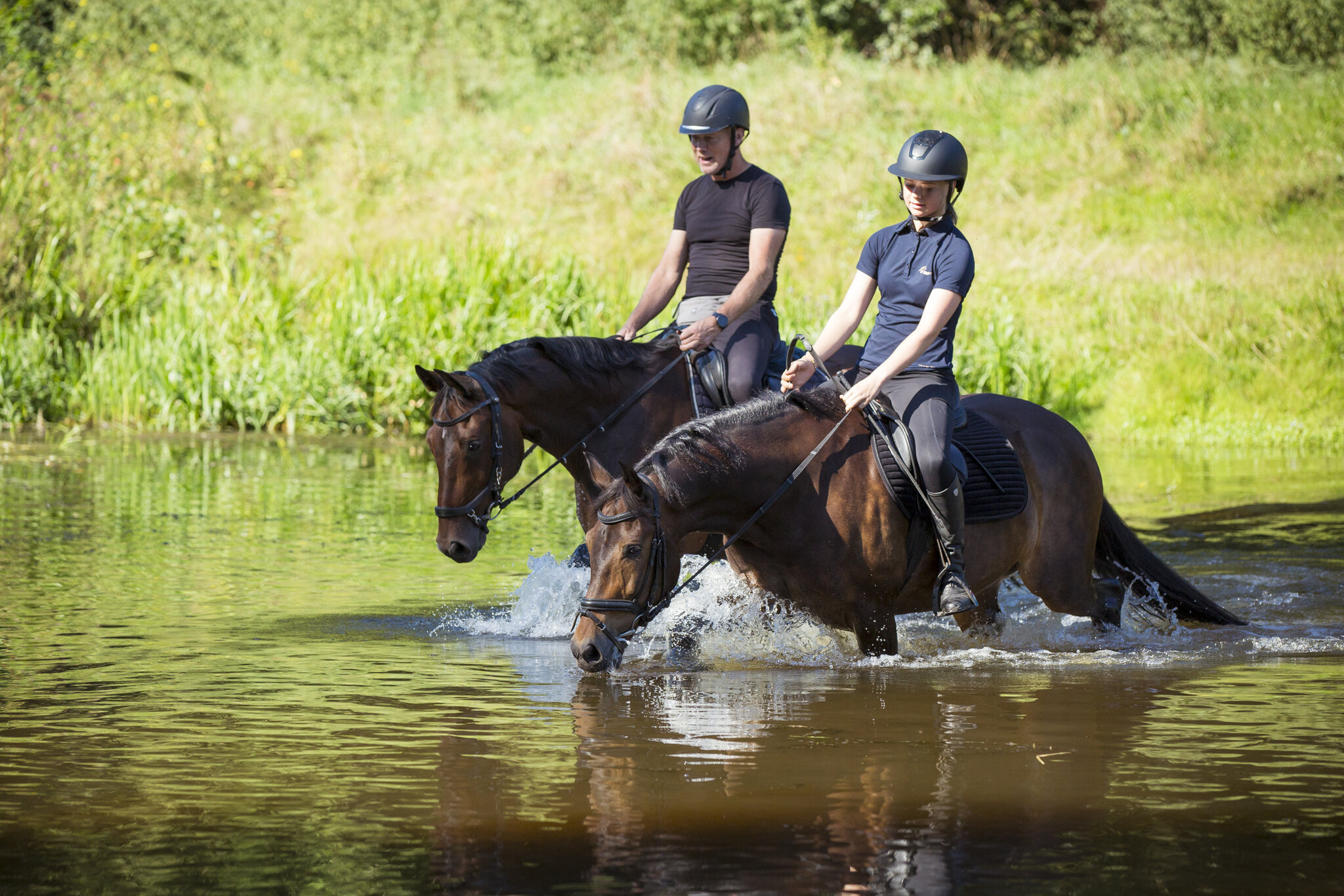djilan en renata laten hun paarden bliksem en mano aan elkaar snuffelen
