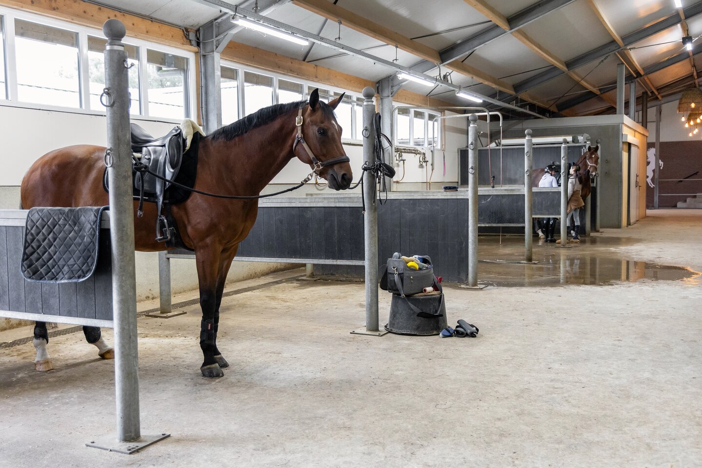 stallen naast de binnenbak van de west stichtse ruiters