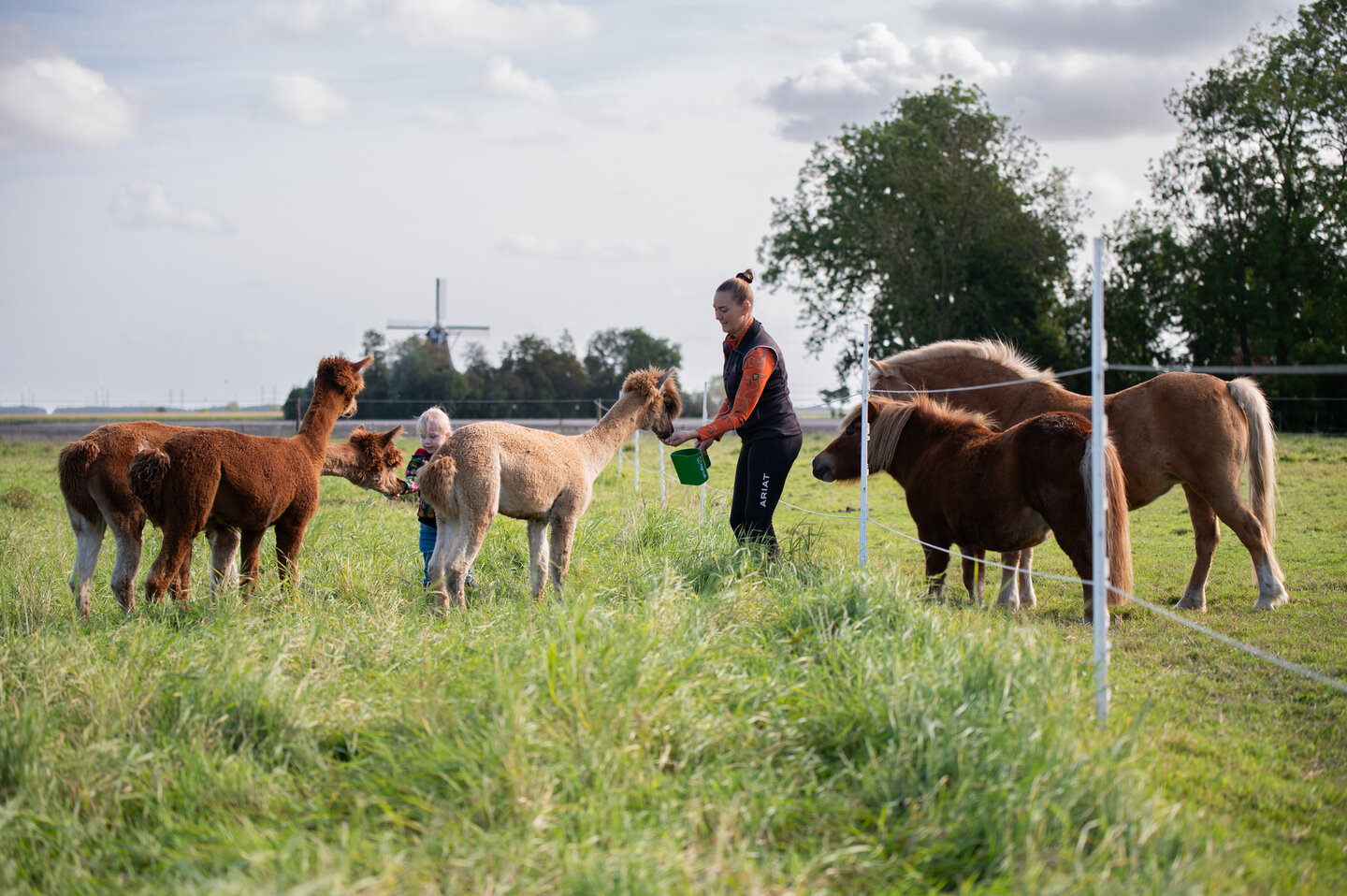 yorick baecke van hippisch centrum midden-zeeuws vlaanderen geeft kinderen op de pony les