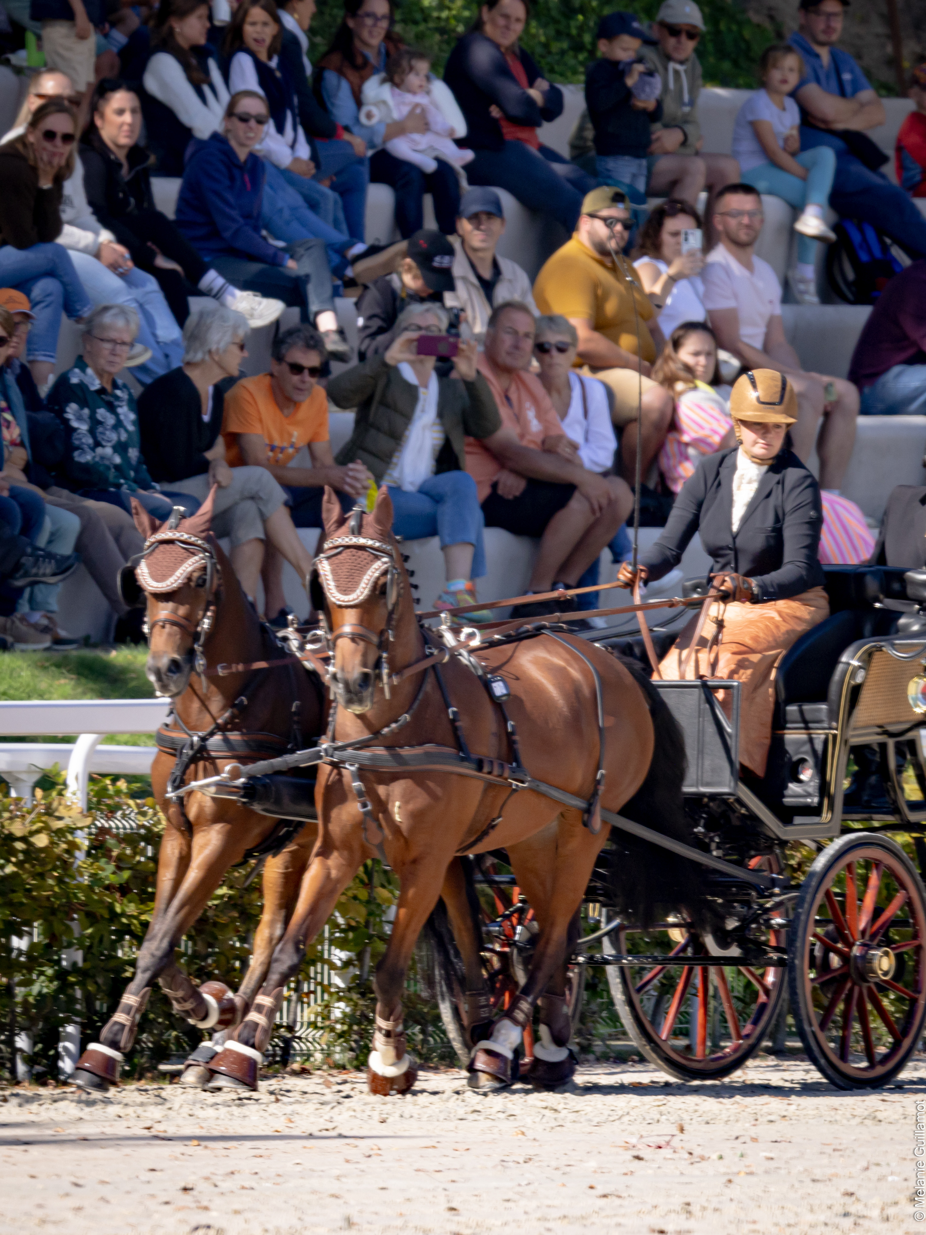 annemarieke nobel tijdens een training met haar doo schufro in het olympisch stadion