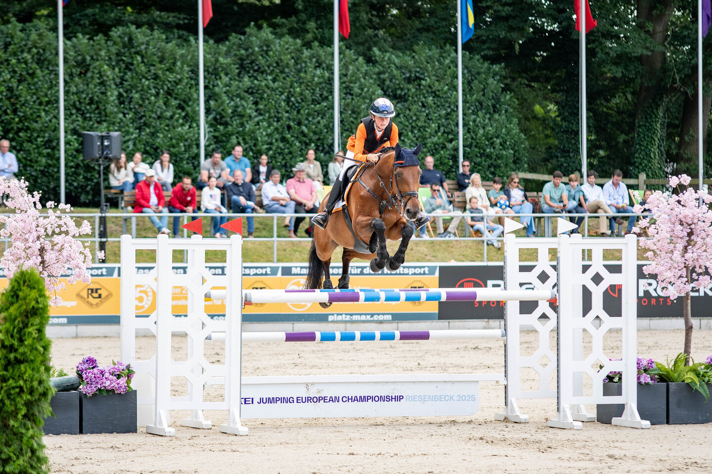 dinja van liere tijdens een olympische wedstrijd met hermès n.o.p. met het paleis van versailles op de achtergrond