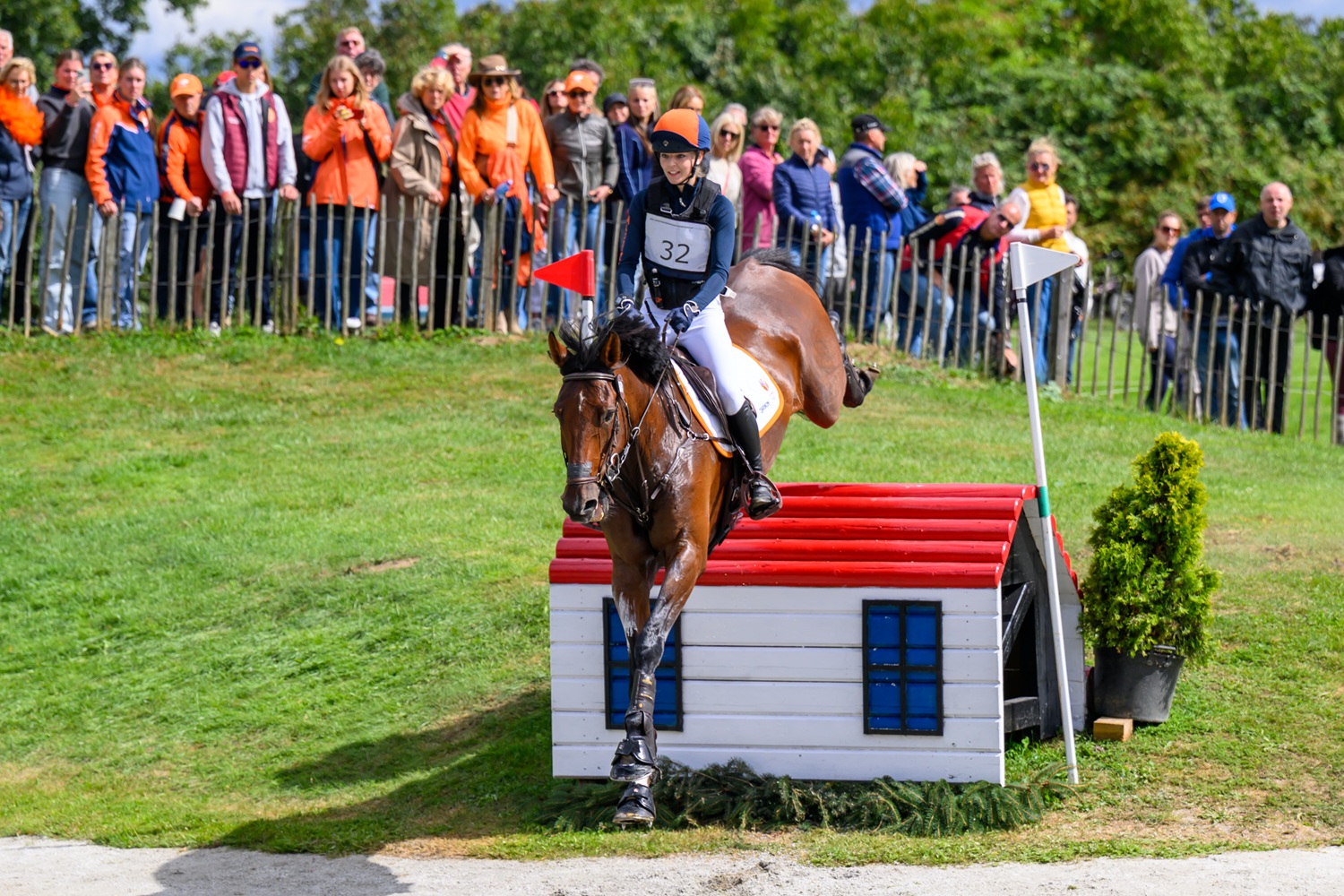 nathalie vink houdt een van haar therapiepaarden vast en kijkt in de camera