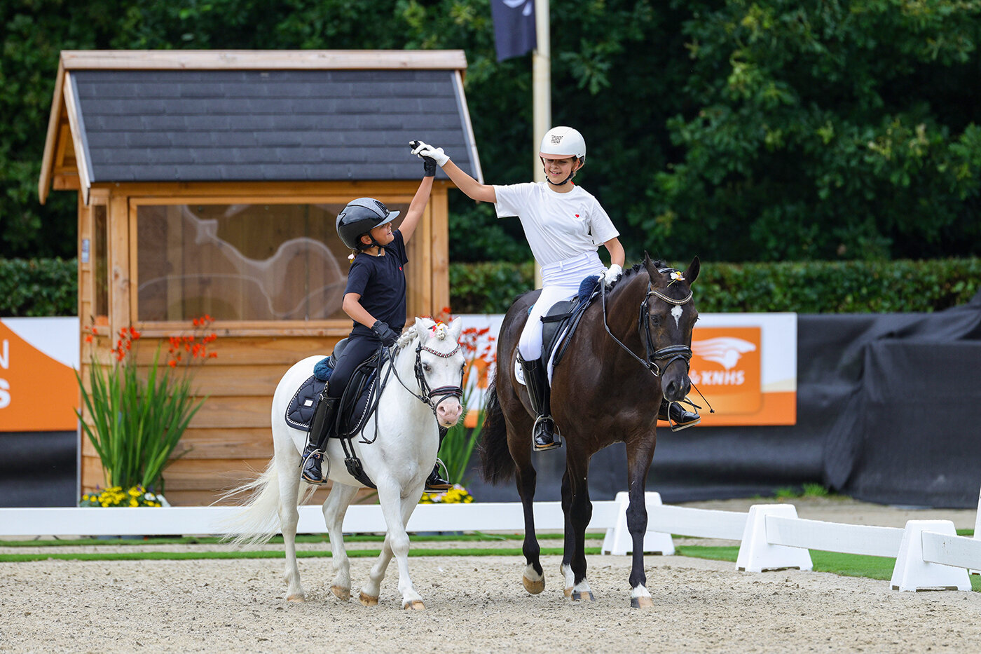 suze meertens en pony dirty dancer