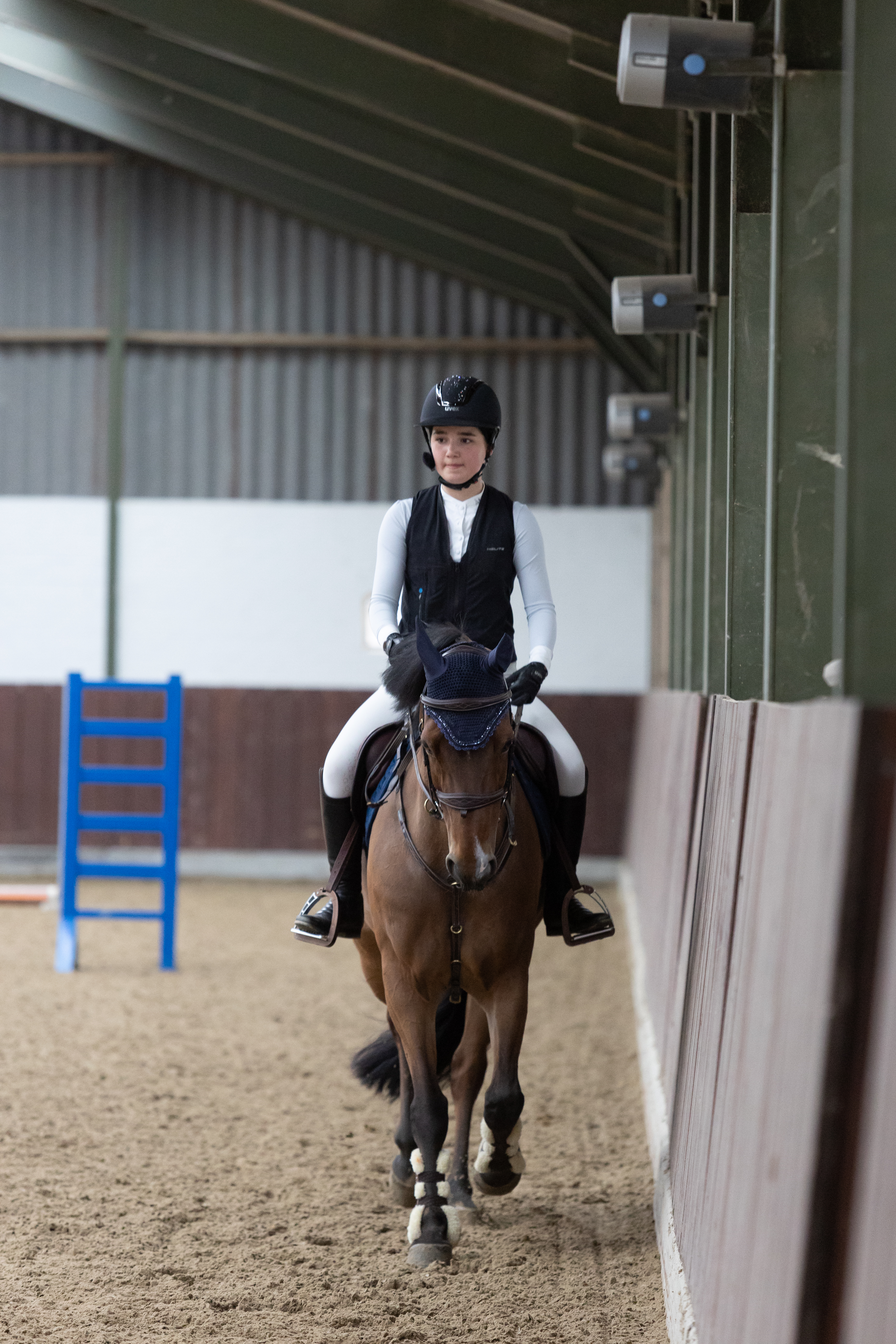 bram chardon vertelt over de wijze waarop hij het borsttuig aanbrengt bij zijn paard