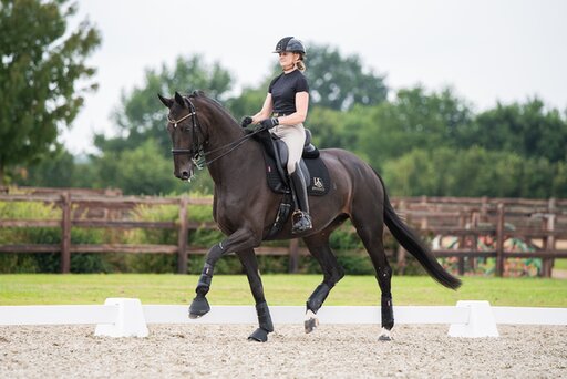 ponyamazone meldt zich bij de jury