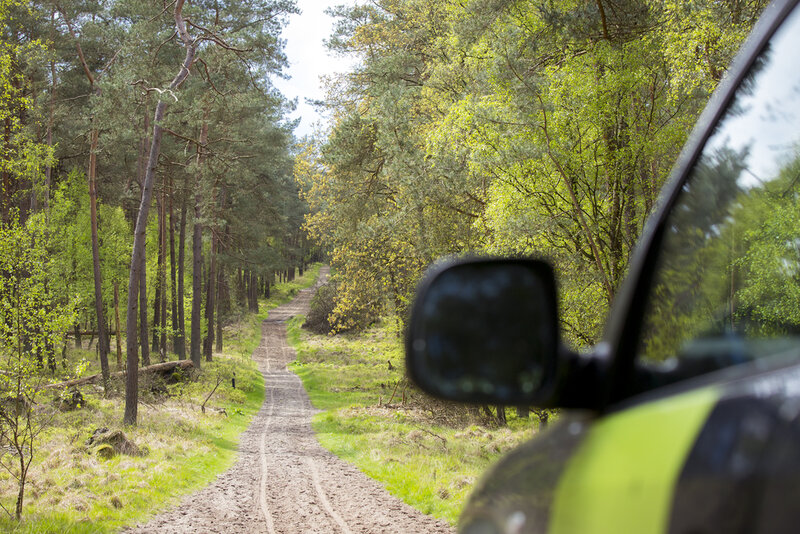 blik vanaf de auto van boswachter rinke, waarbij we uitkijken op een lang zandpad