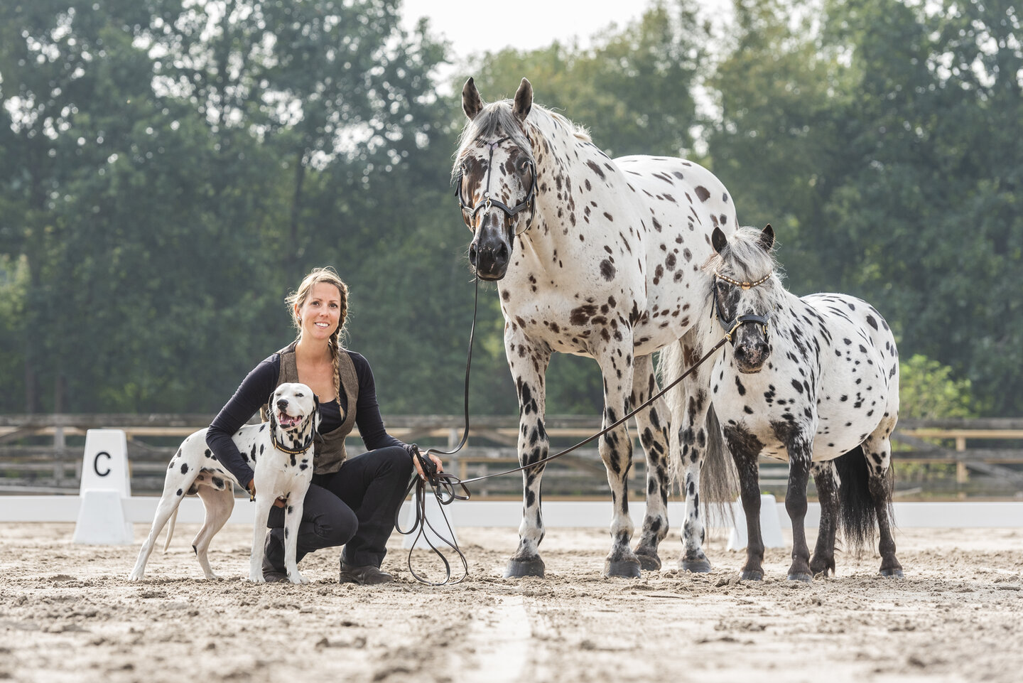 greetje hakvoort poseert terwijl ze gehurkt zit naast haar gevlekte hond, paard en pony