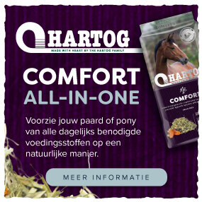 hartog comfort all-in-one