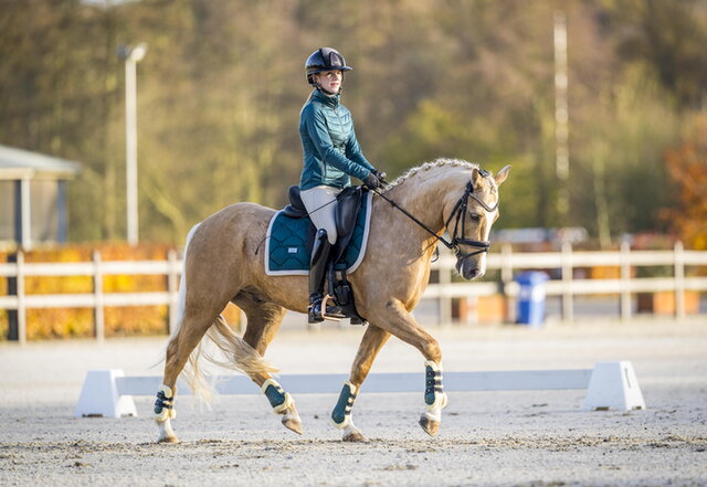 annabell de bock rijdt met haar pony jason