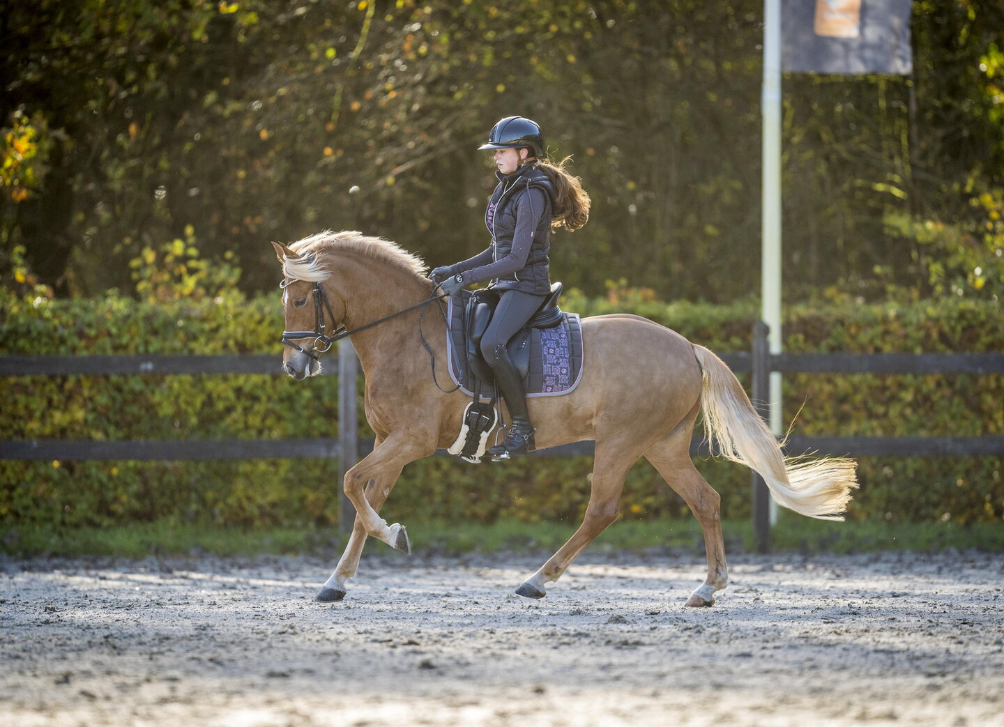 ellen van pinxteren en madame magic in galop