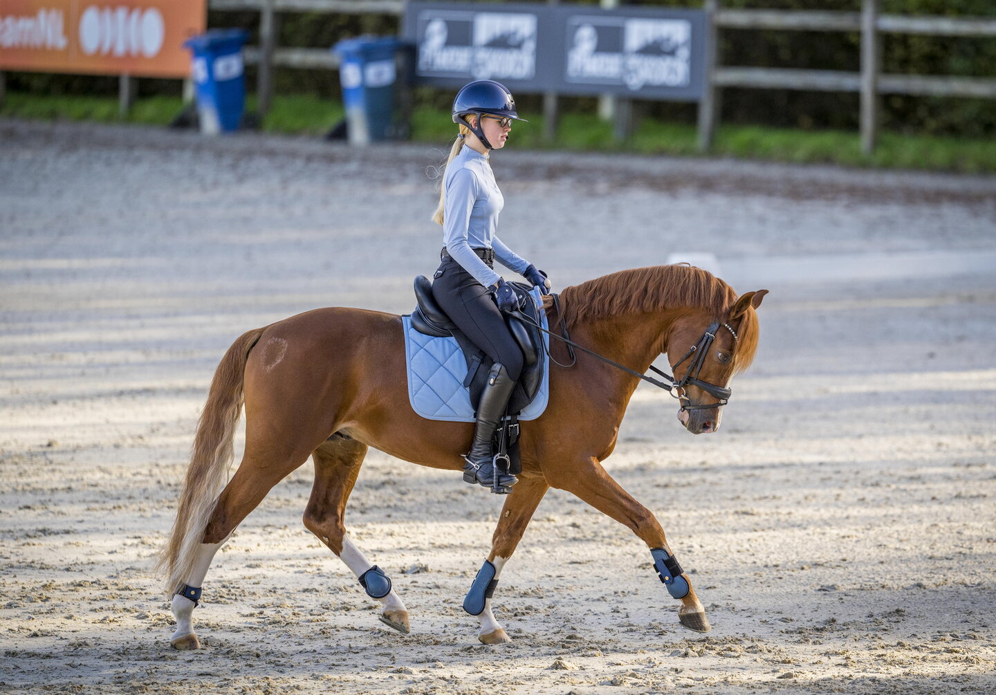 diede heuvelman draaft met haar pony vivaldo