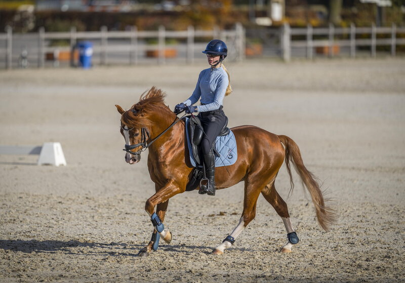 ponyamazone diede rijdt haar vivaldo in galop
