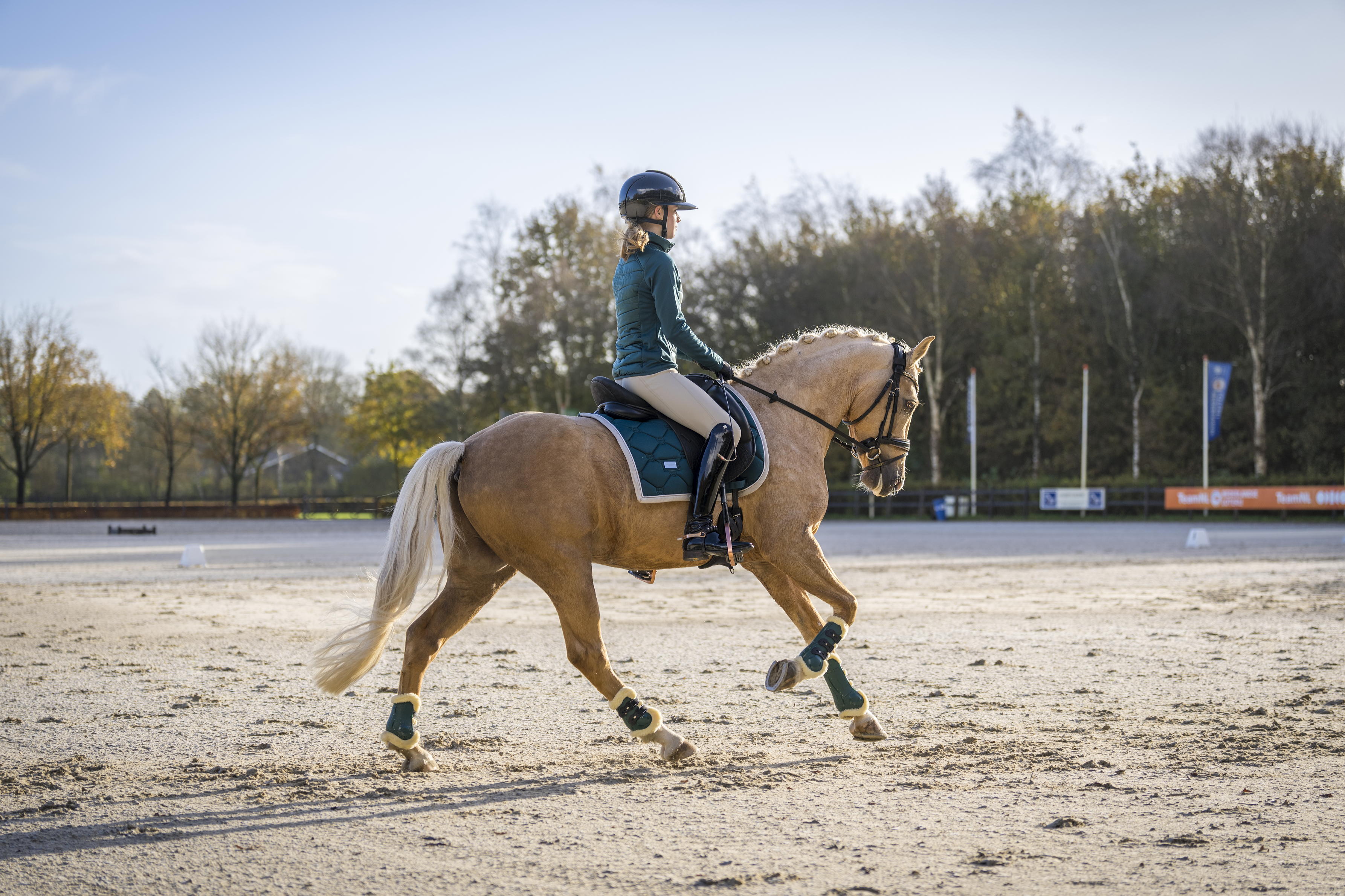 annabell de bock en jason of beverly hills in galop