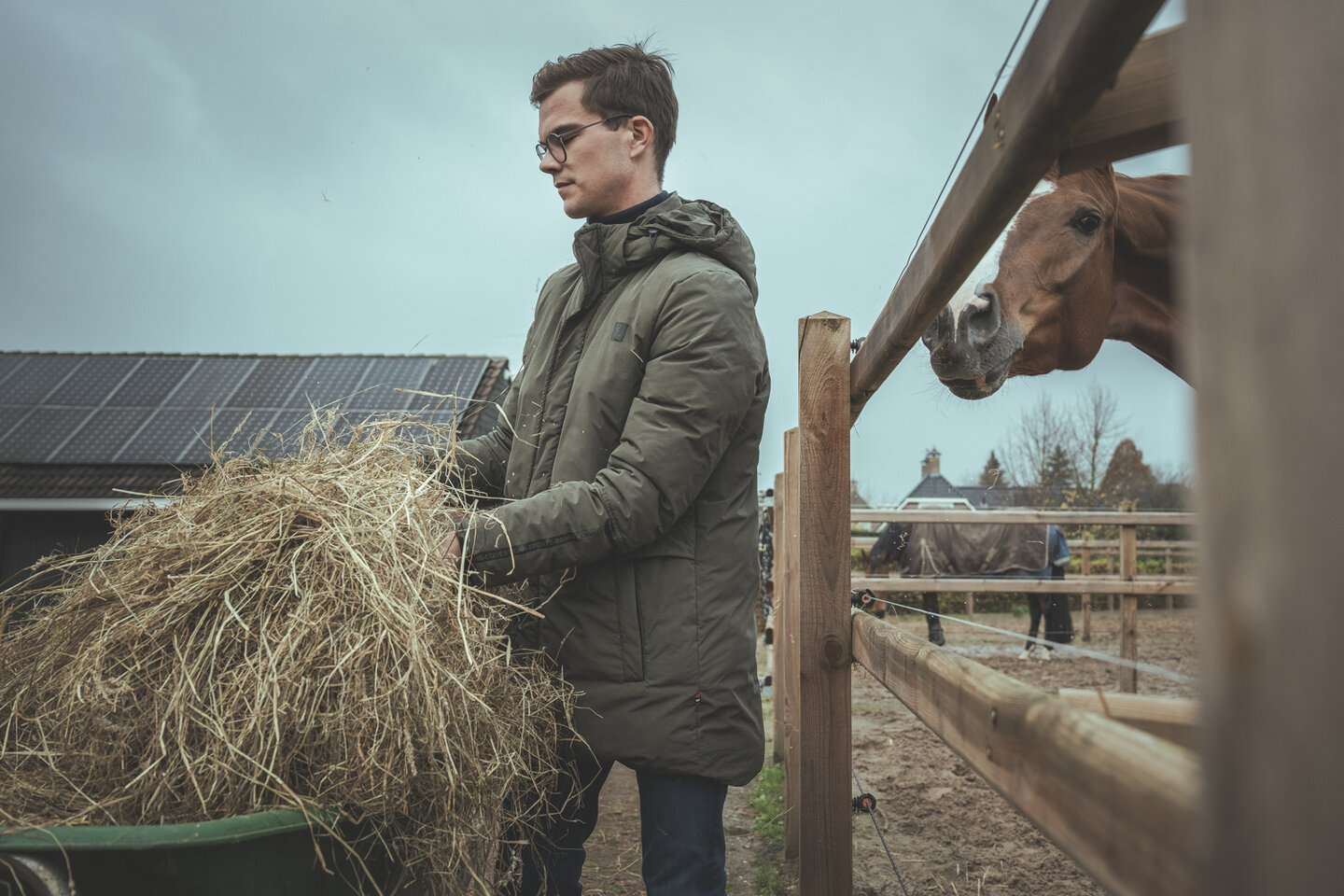 Marten Luiten geeft zijn paard dat in de paddock staat wat hooi