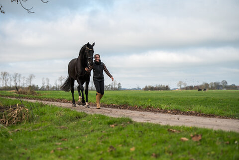 hendrika bakker wandelt naast haar paard painted black van de debbehoeve