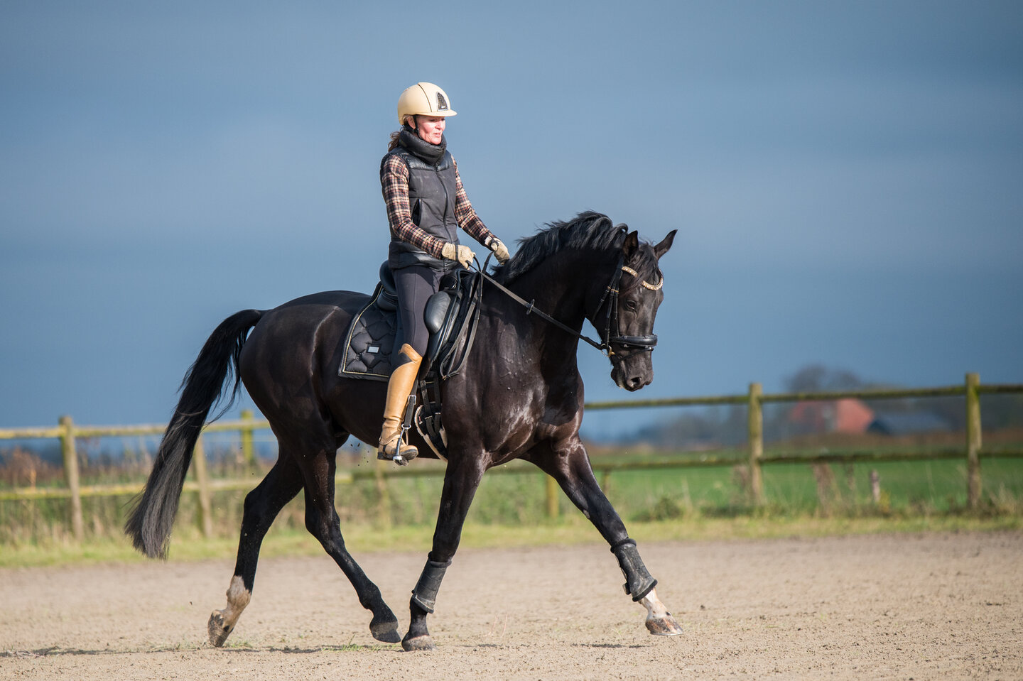 hendrika bakker met haar paard painted black van de debbehoeve in draf