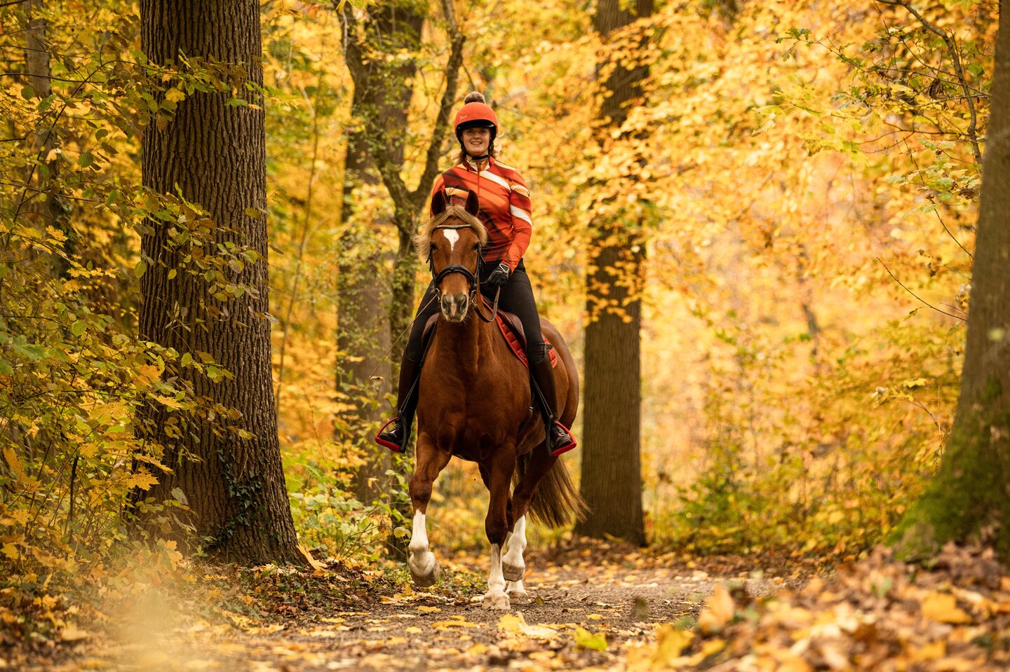 Bowien Postma rijdt met haar paard Ices door het bos