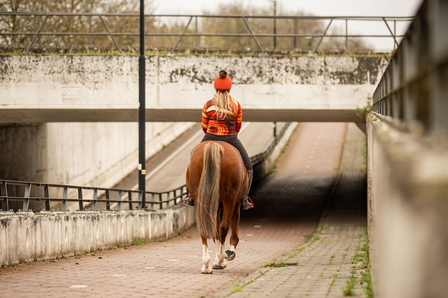 bowien postma rijdt onder een viaduct door met haar paard ices