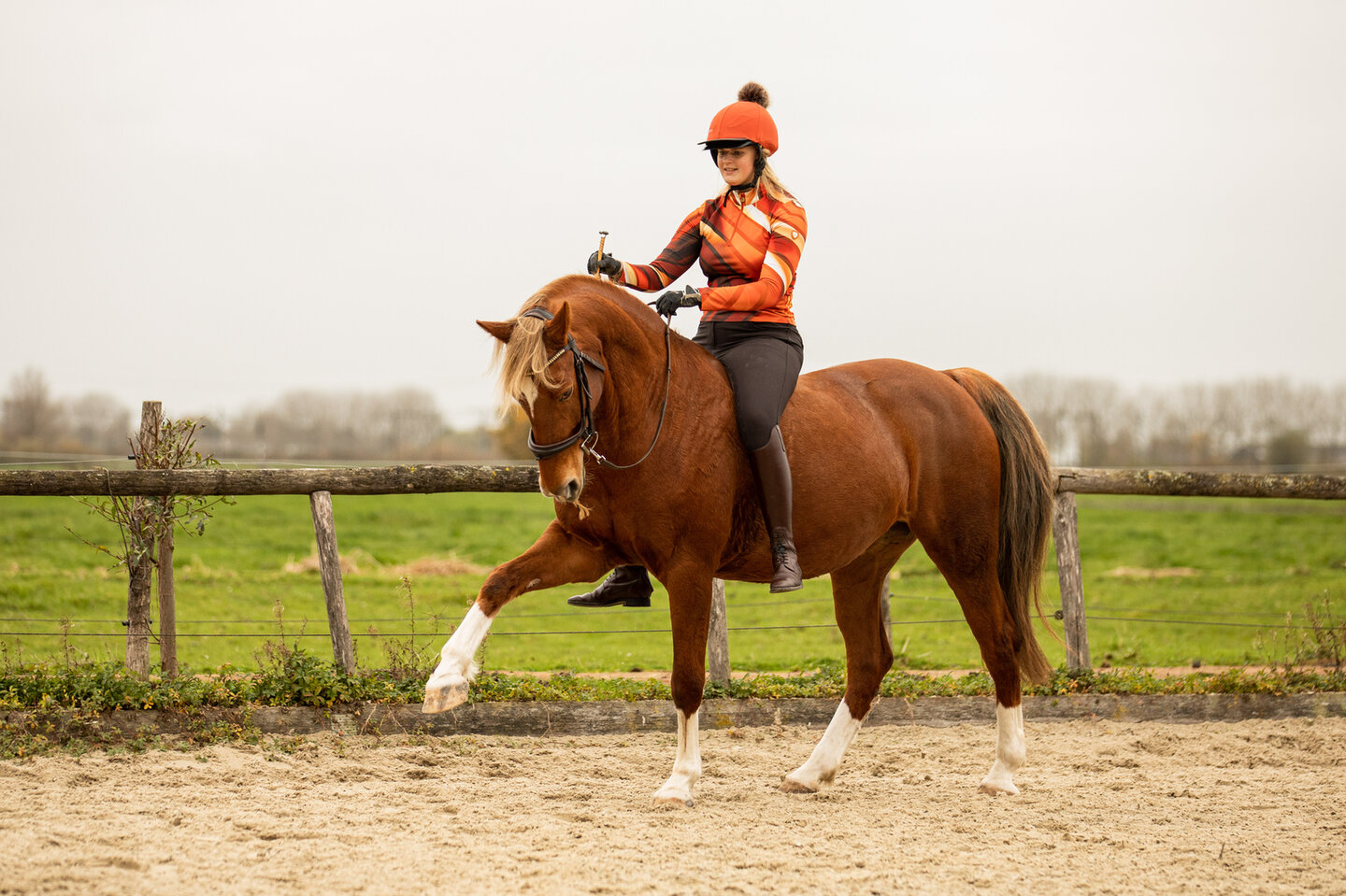bowien postma laat haar paard ices de spaanse pas doen