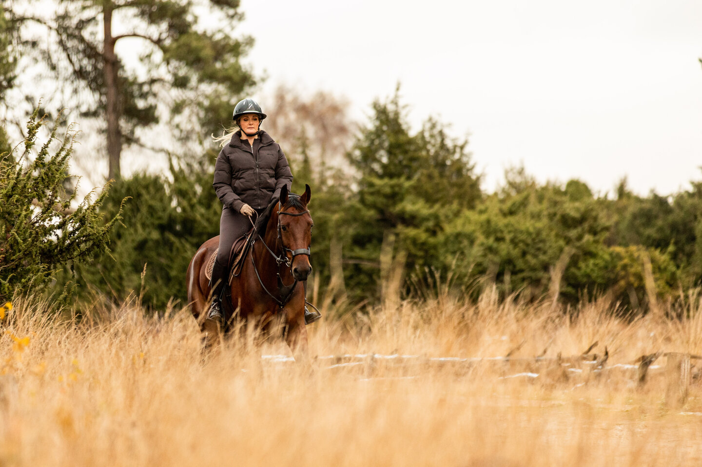 hendrika bakker rijdt in het bos met haar paard norris