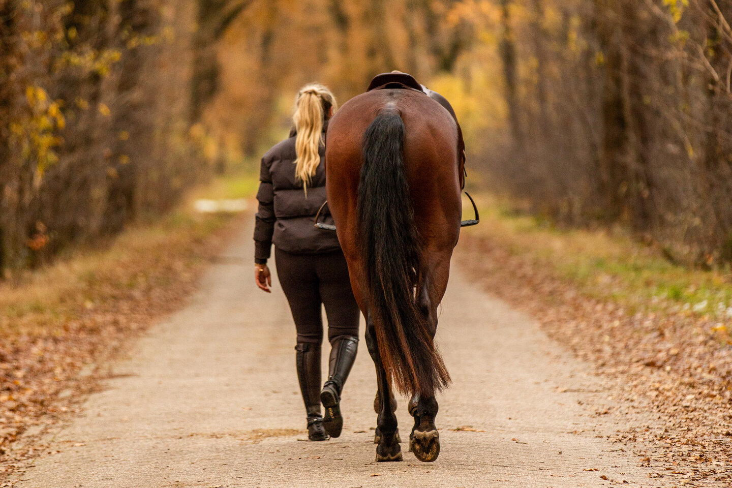 hendrika bakker loopt met haar paard aan de hand