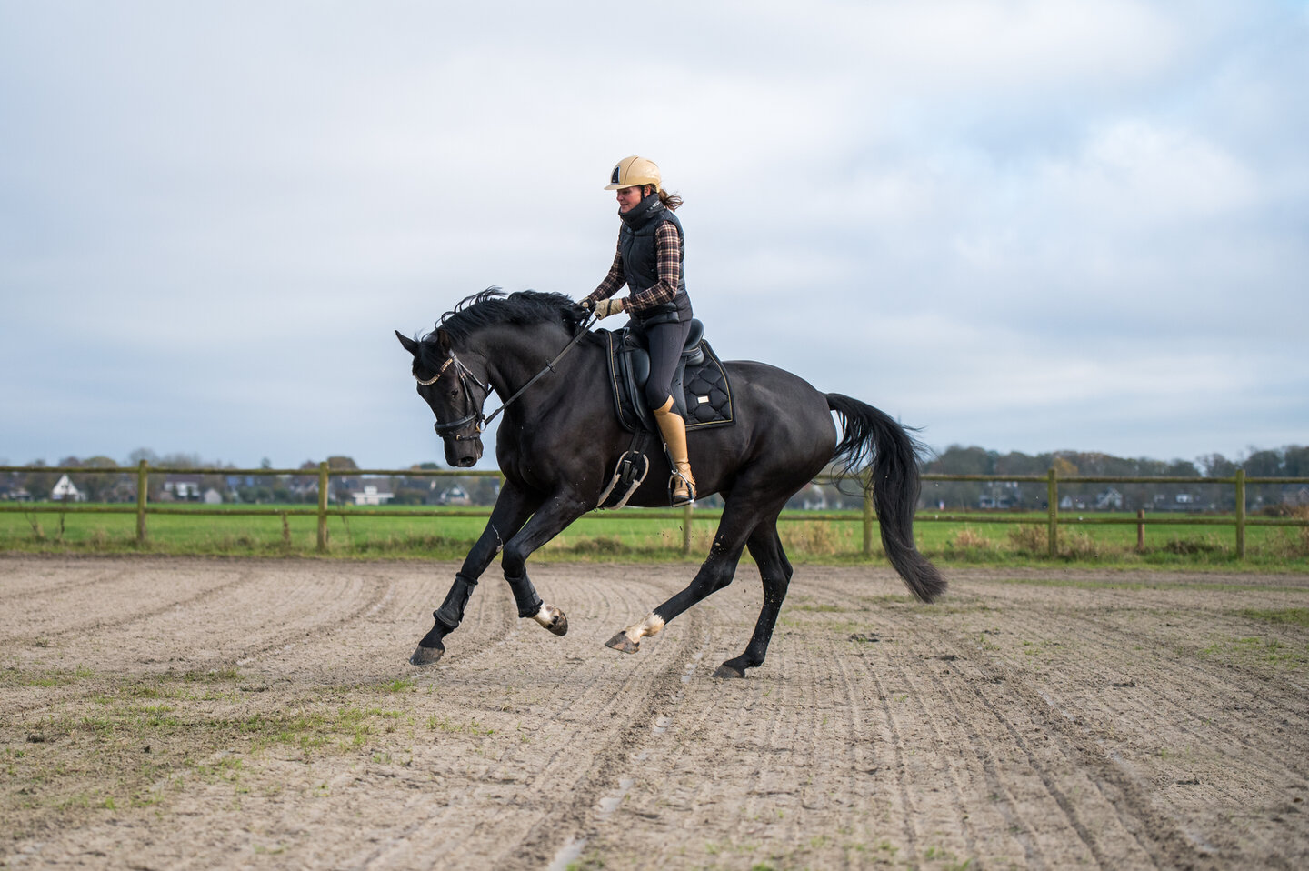 saskia dusseldorp en haar paard painted black van de debbehoeve in galop