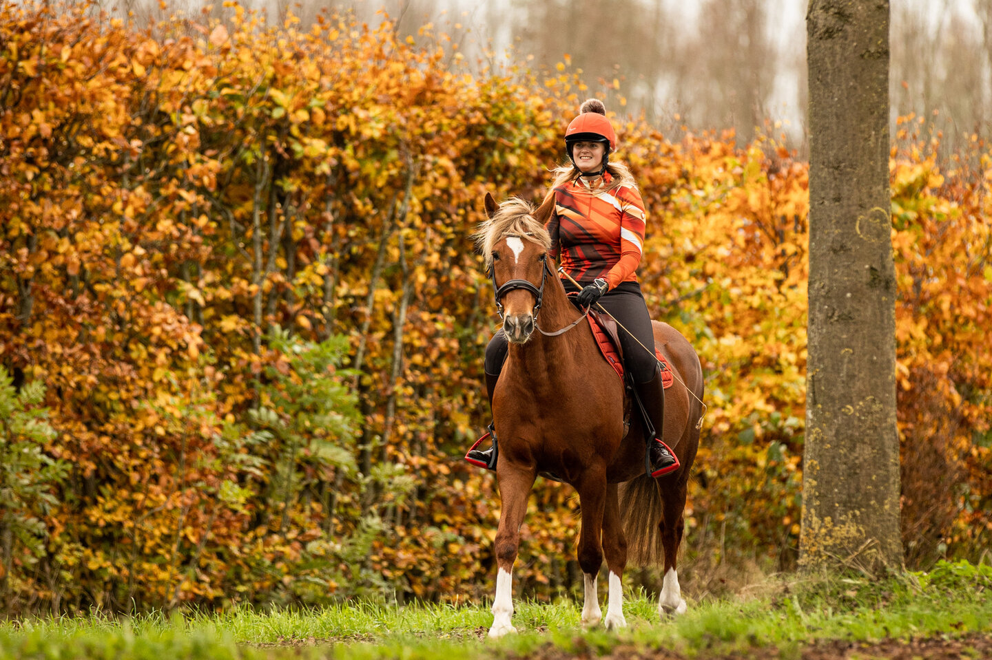 bowien postma zonder zadel op haar paard ices