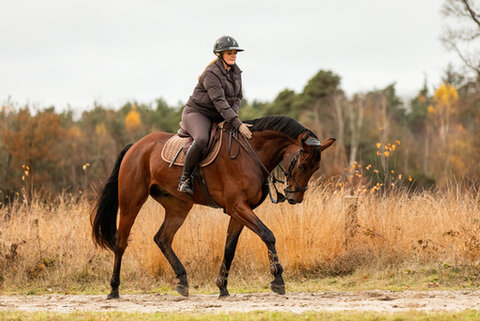 hendrika bakker rijdt in het bos met haar paard