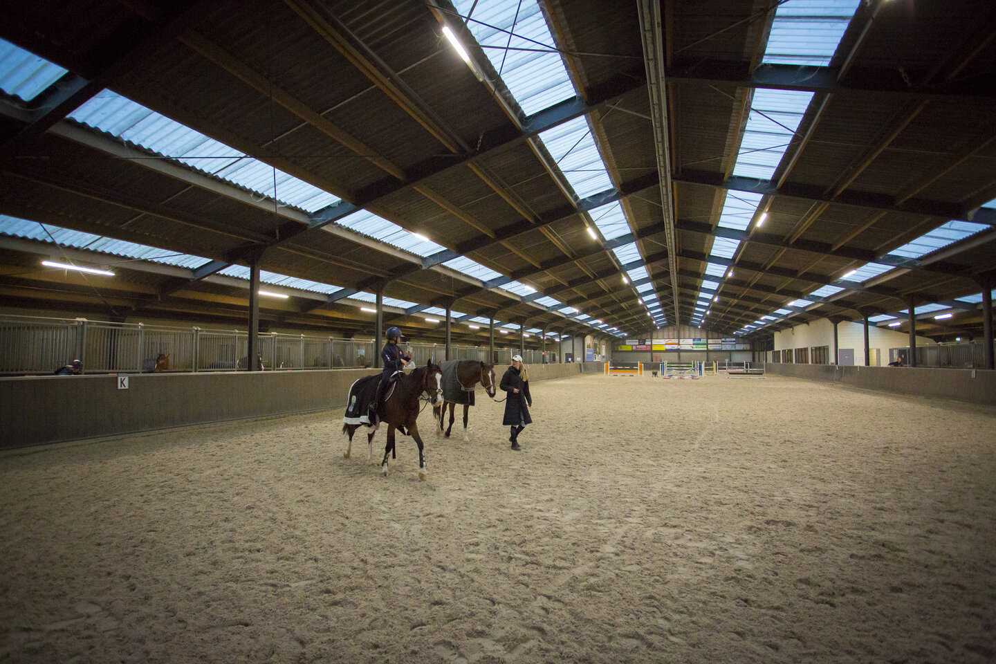 pony's in de binnenbak van de west stichtse ruiters