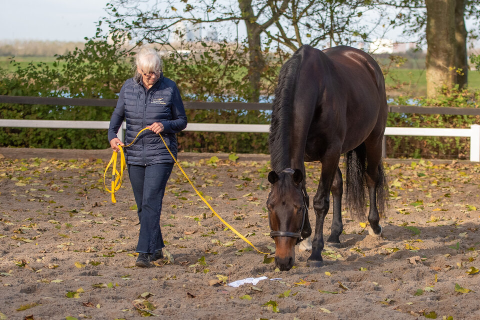 bram chardon poseert naast het paard terwijl tanja liesker op de wagen zit