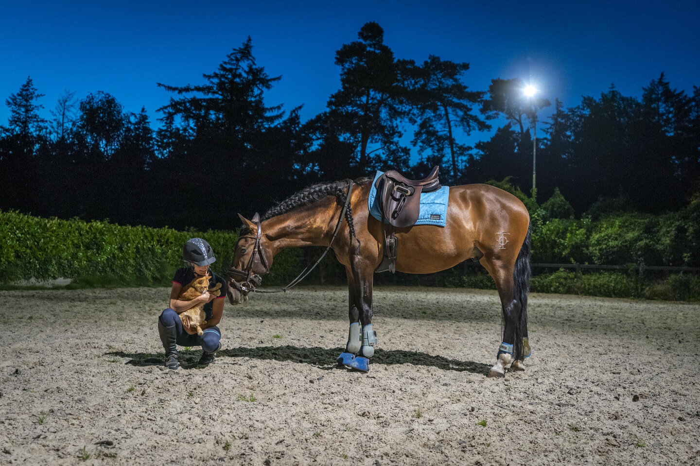 bram geeft knhs-lid tanja aanwijzingen terwijl het menpaard in galop gaat