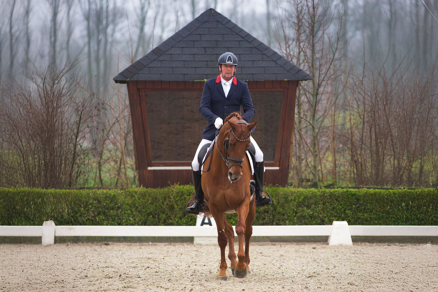 ook legt hij uit hoe het zit met de teugelvoering op de menwagen