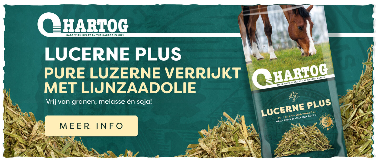 advertentie van horka over de herfst- en wintercollectie