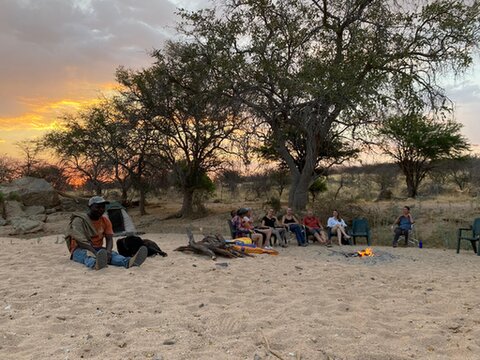 Samantha galoppeert op haar Friese paard over een bospad